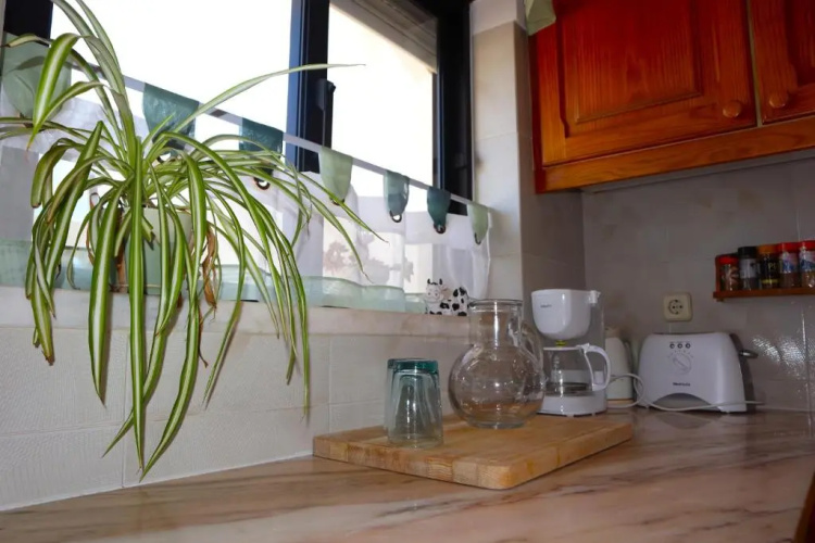 Apartamento Conny T1 Vista Mar