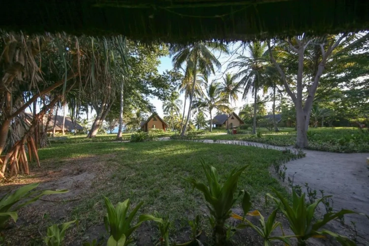 Standard Twin room with garden view