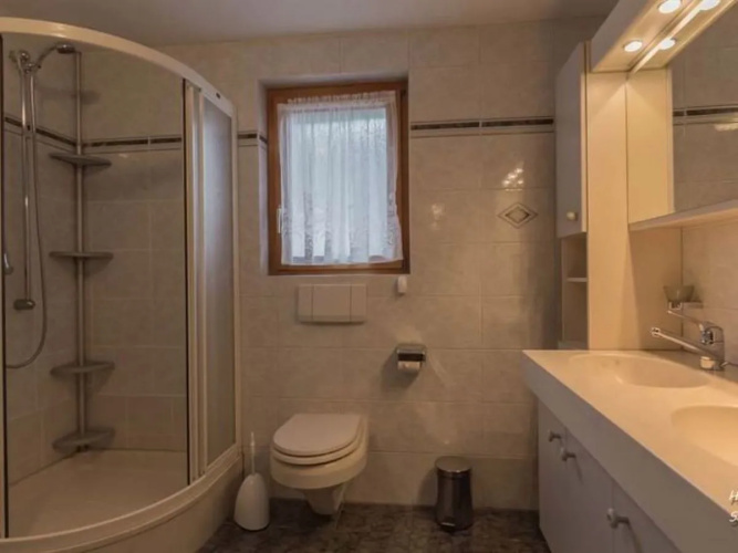 Apartment Bergfink Saas-Fee 16126