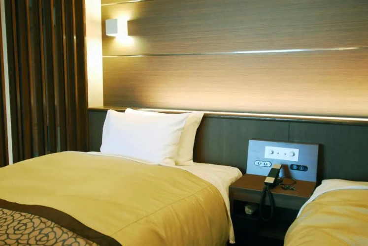 No. 201 Deluxe Twin room