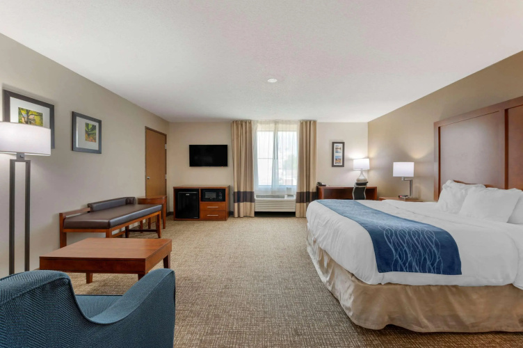 Comfort Inn Anderson South