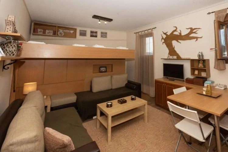 1 Bedroom Apartment