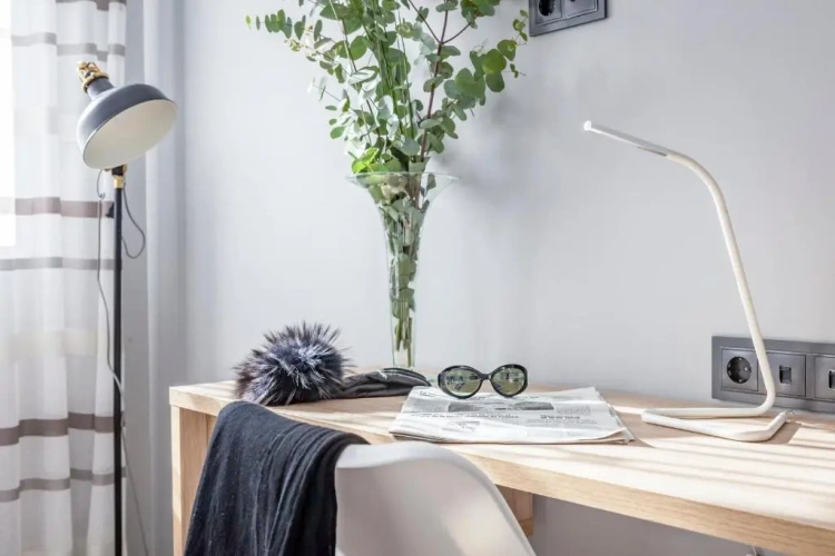 Standard Studio