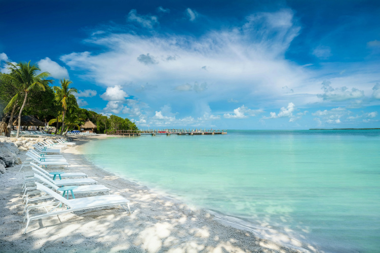 Baker's Cay Resort Key Largo, Curio Collection by Hilton photo 28