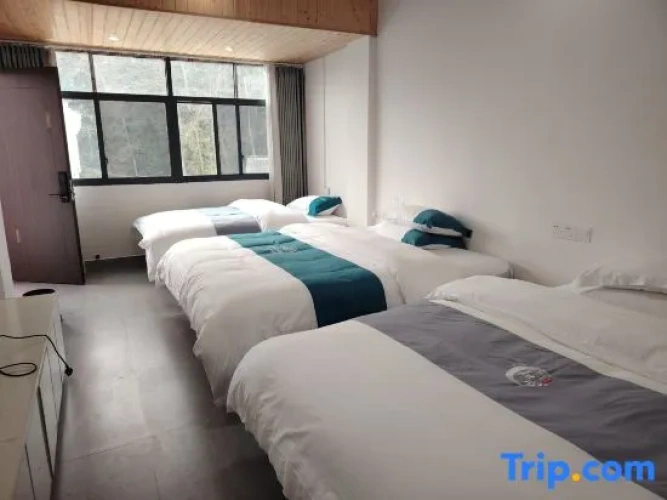 Duplex Suite