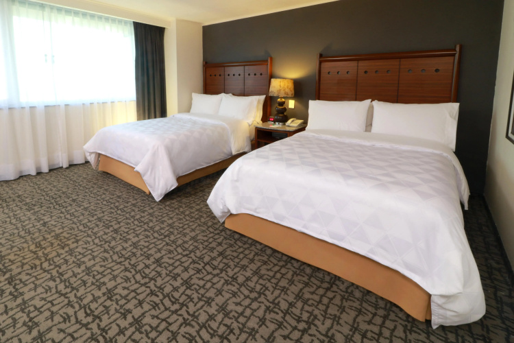 Holiday Inn Ciudad De Mexico-Trade Center by IHG