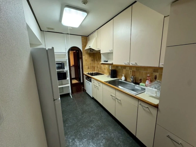 Classic Apartment