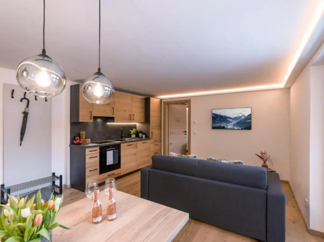1 Bedroom Apartment