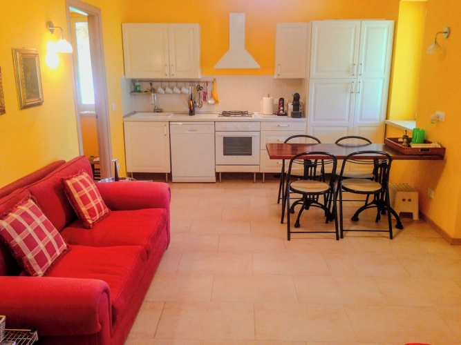 Executive Apartment