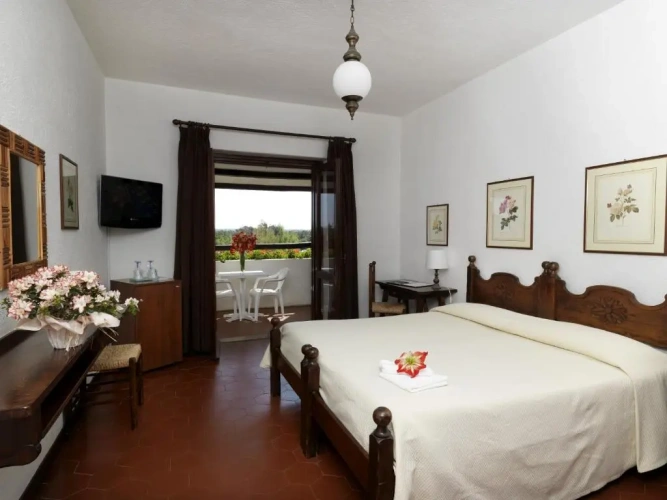 Standard Double room with garden view
