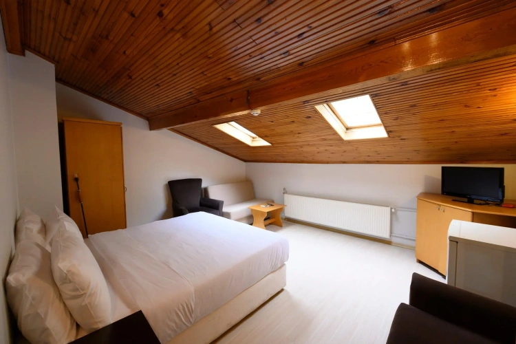 Standard Penthouse room