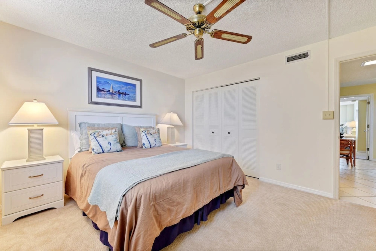 Sand Dollar 1-105