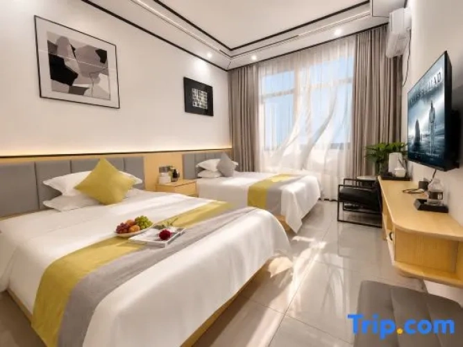 Privilege Twin room with street view