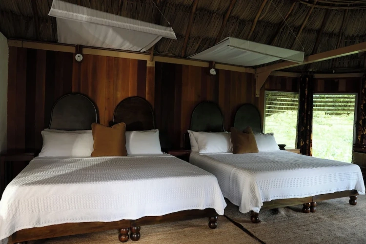 Grand Double room with garden view
