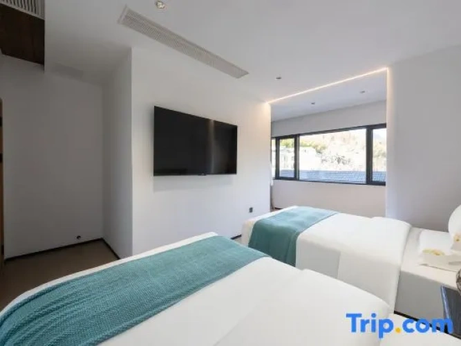 Premium Twin room with mountain view