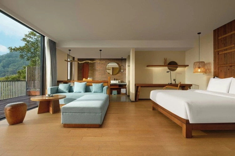 Standard Double room with balcony and with river view