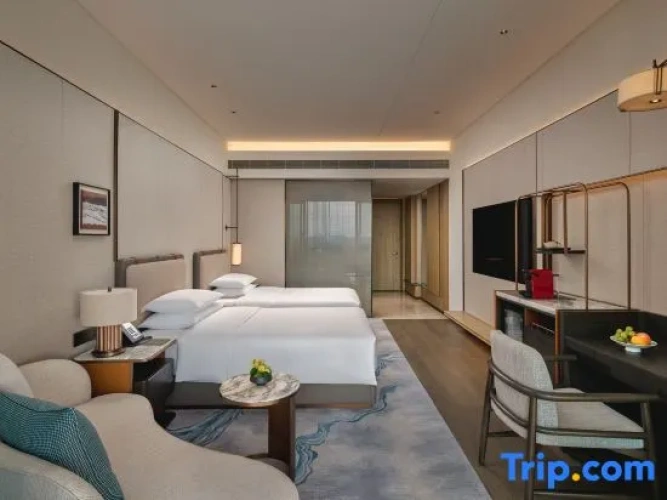Deluxe Twin Club room