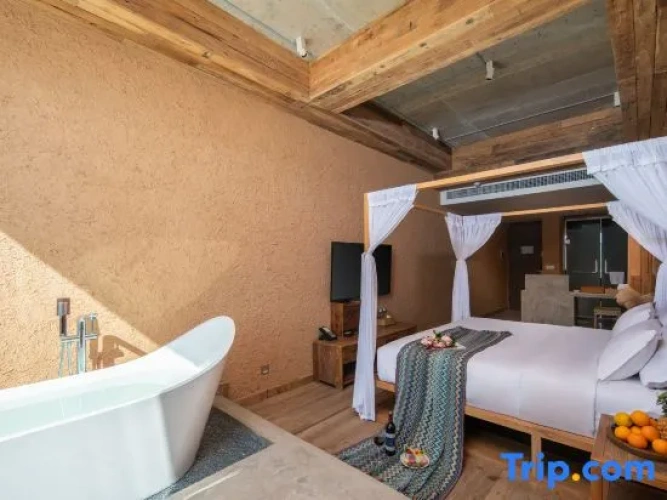 Standard Double room with lake view