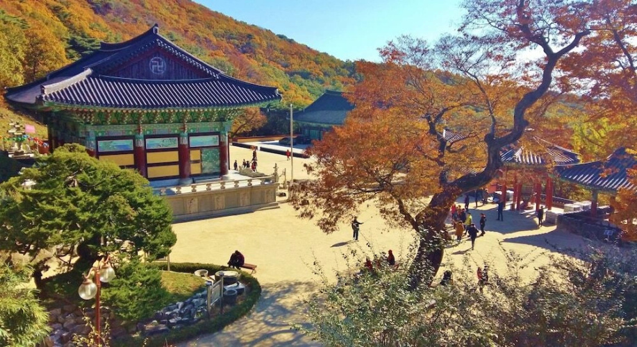 Better Guest House