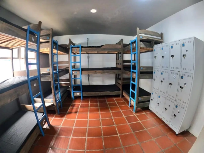 Bed in Dorm