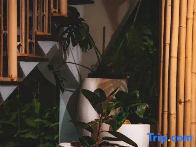 Wiwaka Bamboo House