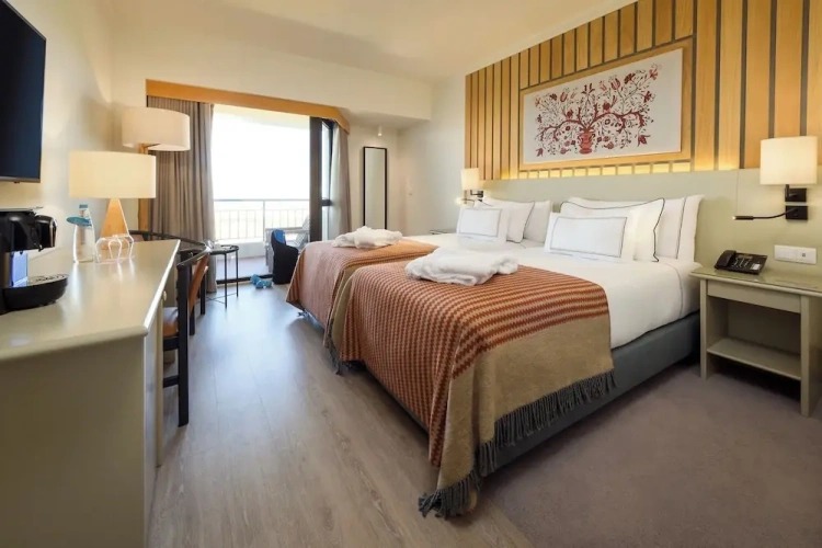 Premium Twin room with balcony and with city view