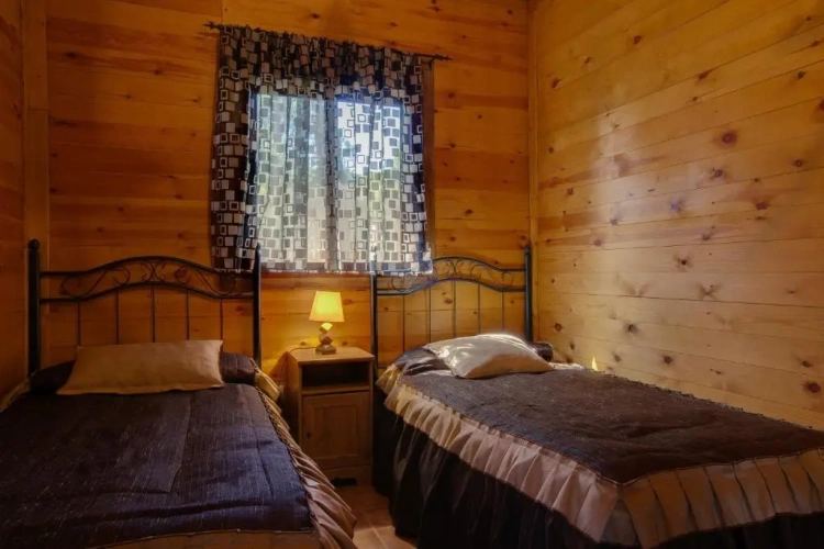 3 Bedrooms Apartment