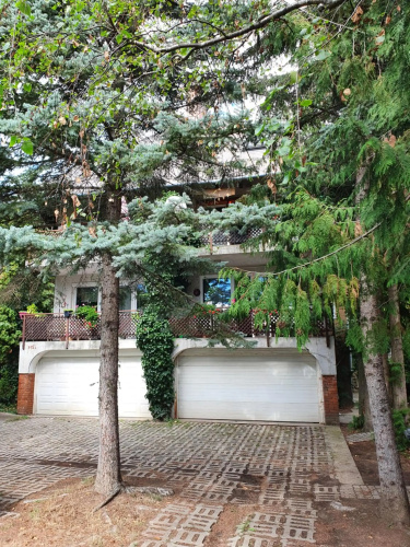 Zöld Relax Apartments
