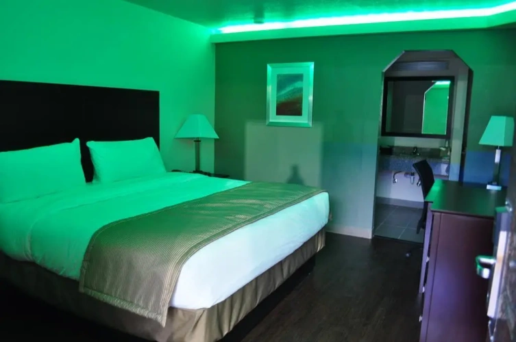 Single Suite