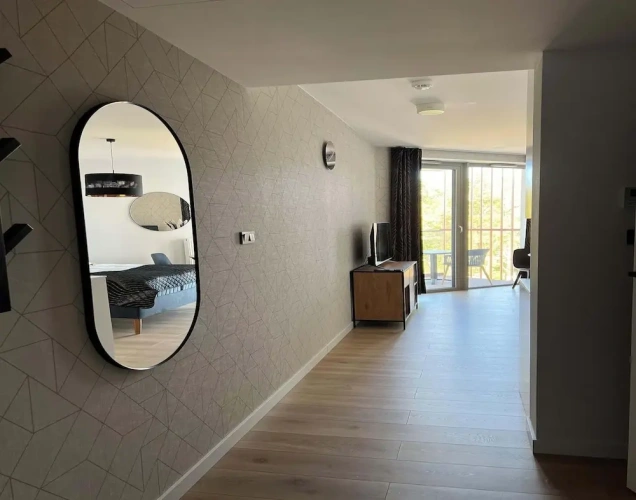 1 Bedroom Classic Apartment