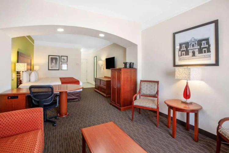 Single Suite