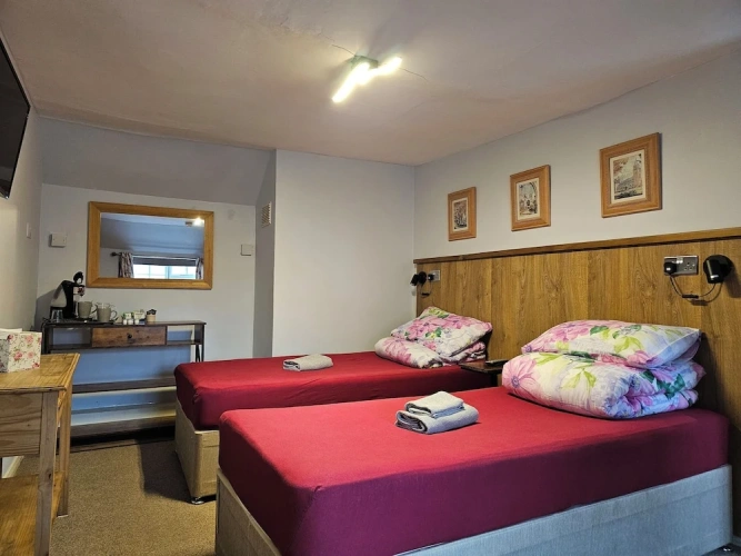Standard Twin Family room
