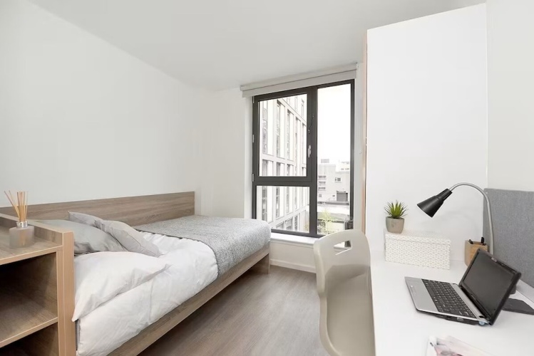 Economy Single room
