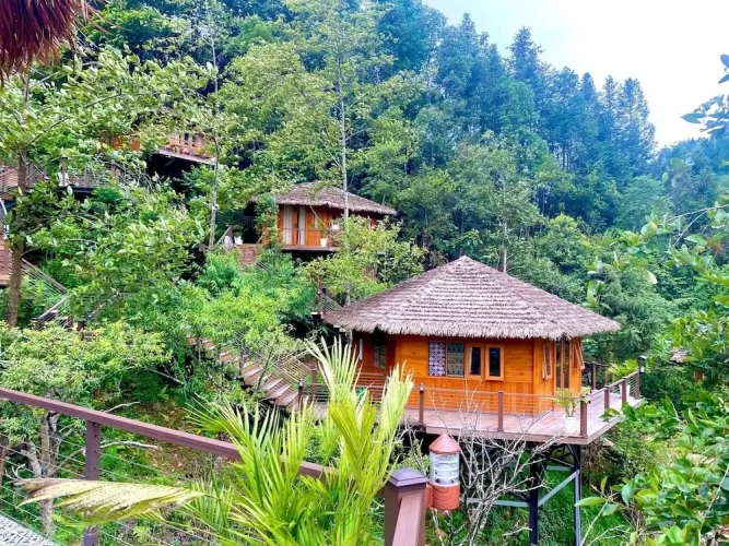 Deluxe Bungalow with balcony and with mountain view