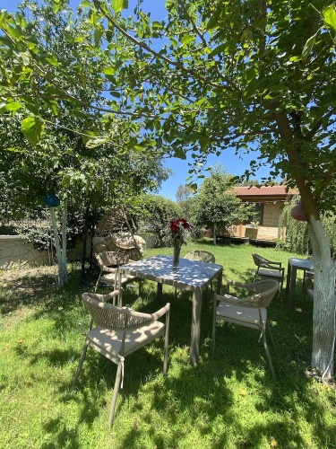 Economy Bungalow with garden view