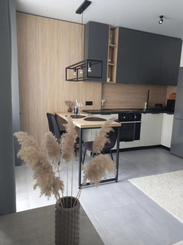 New loft style apartment