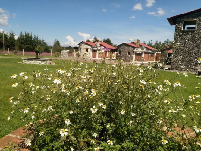 Cabañas El Pedregal