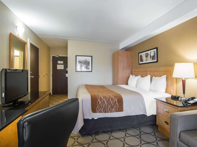Comfort Inn Airport East photo 7