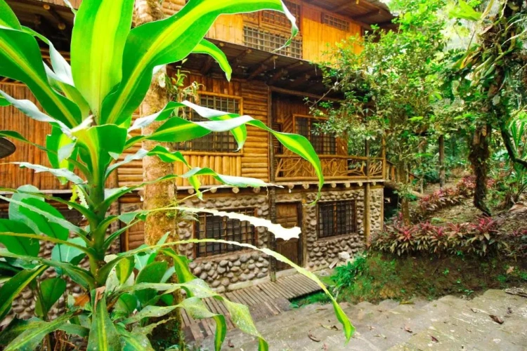 Standard Double room with garden view