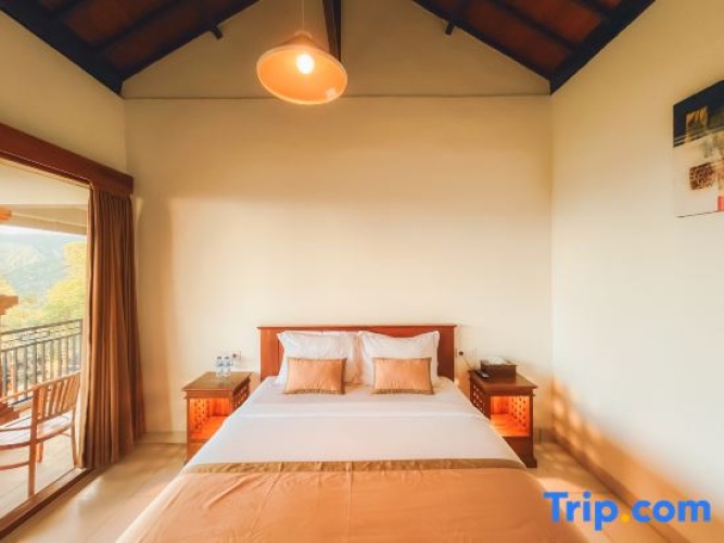 Standard Double room with garden view