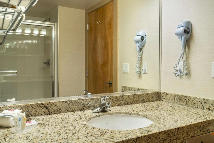 Comfort Inn & Suites Surrey Hotel photo 10