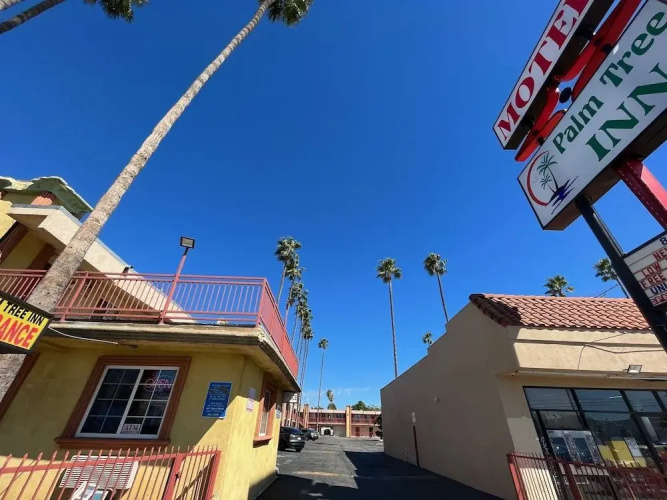 Palm Tree Inn