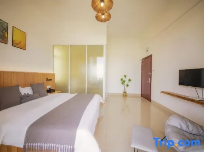 Standard Double room with balcony and with lake view