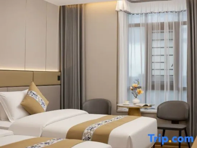 Standard Twin room with city view