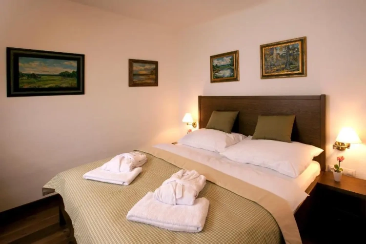 Deluxe Double room with garden view
