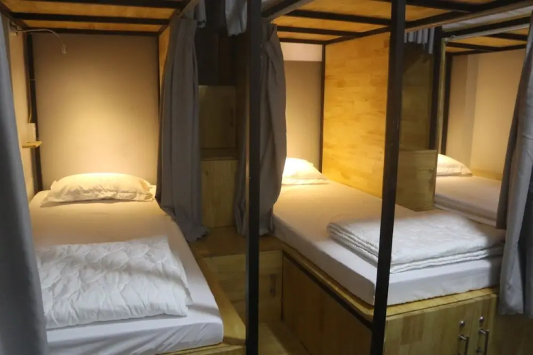 Vector Hostel