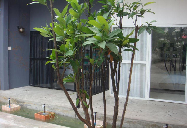Nimman Soi9 Hotel