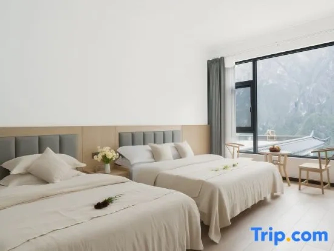 Standard Twin room with mountain view