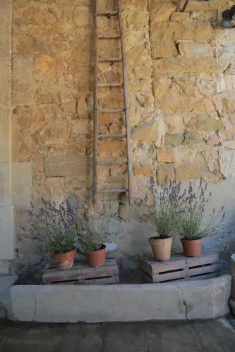 Les Etoiles de Provence