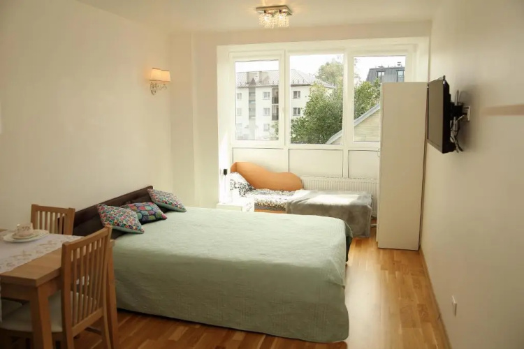 Apartment Druskonis